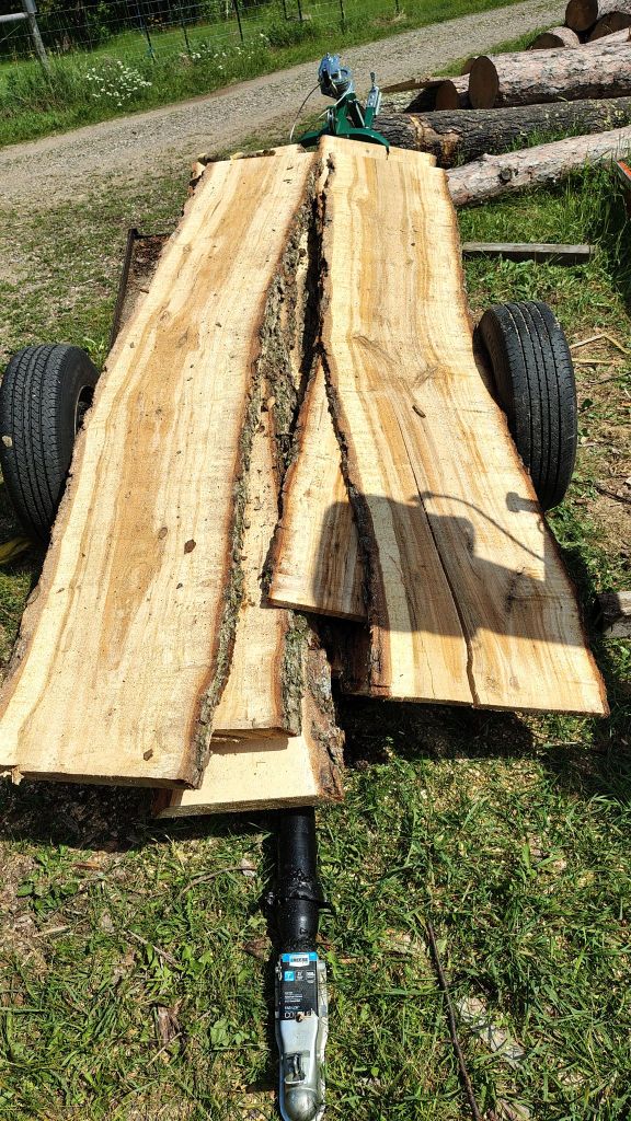 A pile of freshly milled wide willow boards on a trailer