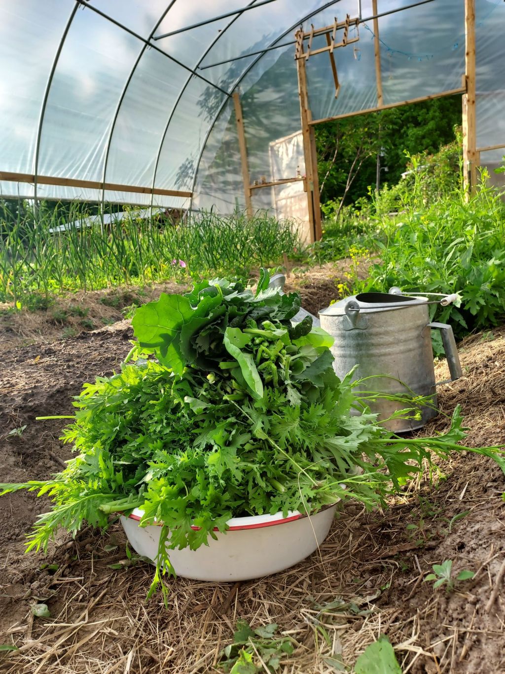 Weeding & Weaving